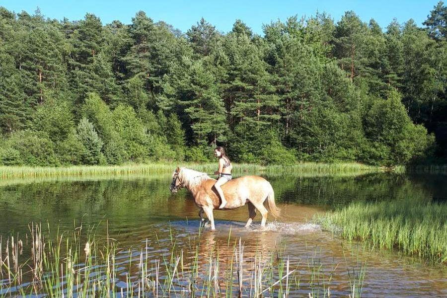 Apartmán Schroederhof Unterluss Exteriér fotografie